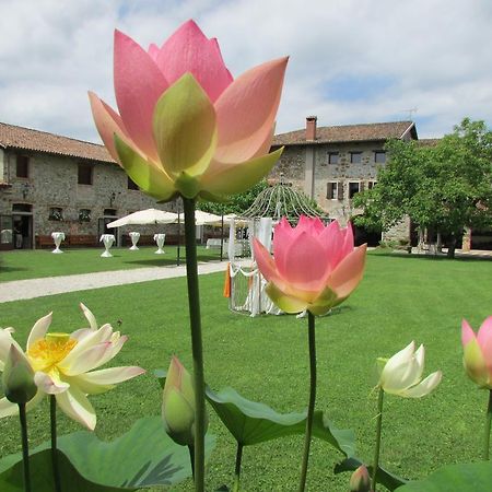 Agriturismo il Vagabondo Buttrio Exterior foto